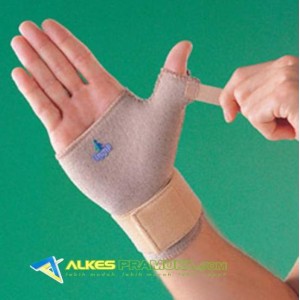 http://alkespramuka.com/img/p/547-620-thickbox.jpg