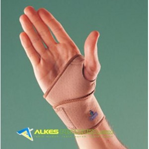 http://alkespramuka.com/img/p/548-618-thickbox.jpg